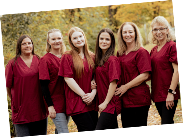 pflegeservice bock team in roten kasacks